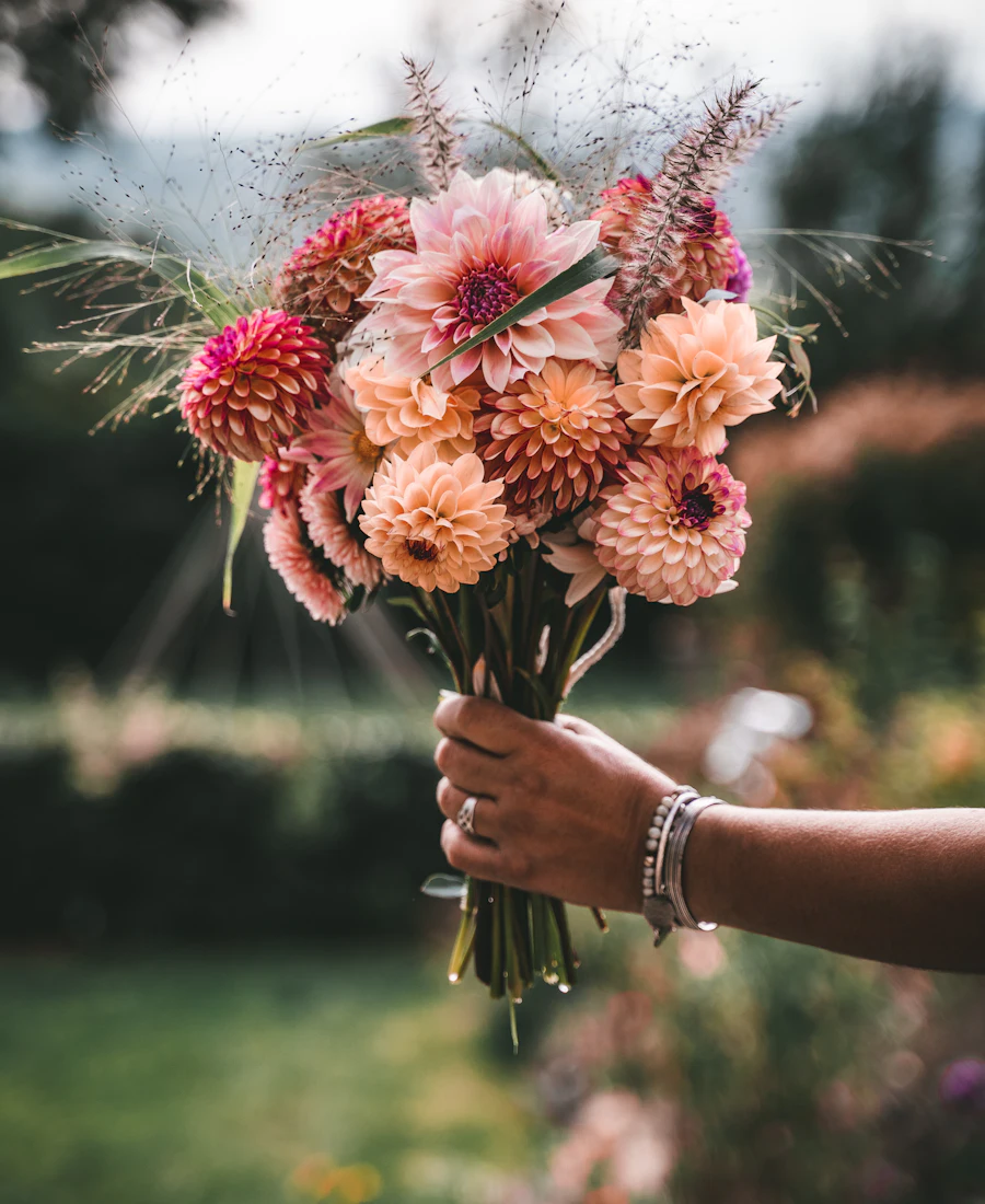 Hand hält einen Strauß rosa und apricotfarbener Dahlien