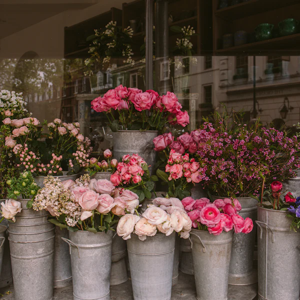 Rosa Blumen in Zinkeimern vor dem Laden