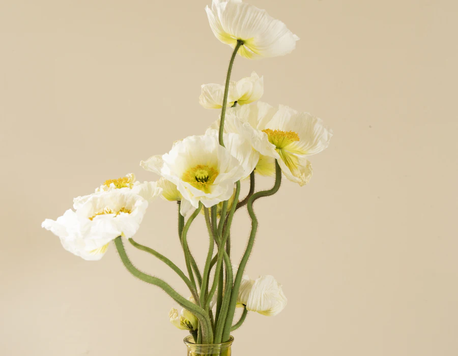 Weißer Mohn in einer bernsteinfarbenen Glasvase